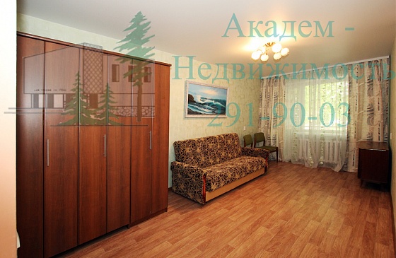 Посуточные квартиры в Академгородке Новосибирска можно снять на сайте Академ-Недвижимость