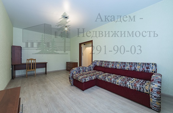 Снять однокомнатную квартиру в Академгородке в новом доме на Российской