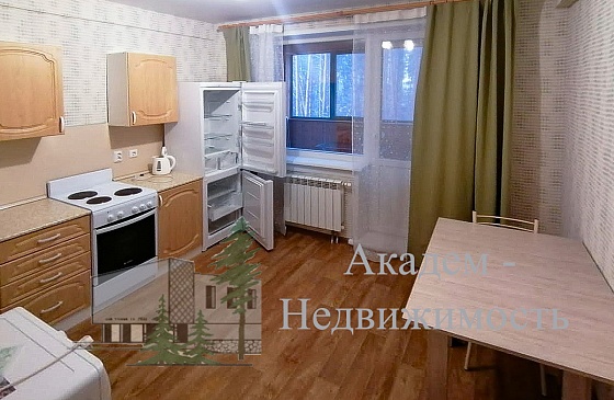 Снять однокомнатную квартиру в Академгородке Новосибирска на Шатурской 12 недалеко от станции сеятель и технопарка.