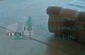Снять однокомнатную квартиру в Нижней Ельцовке на Лесосечной 7