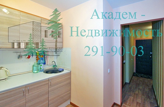 Аренда квартиры в Академгородке рядом с Сеятелем и клиникой Мешалкина
