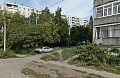 Как снять в аренду комнату в Академгородке для семейной пары без детей