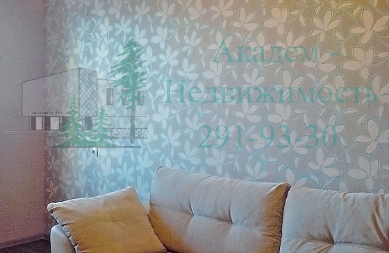 Снять однокомнатную квартиру на Шлюзе в новом доме, Академгородок