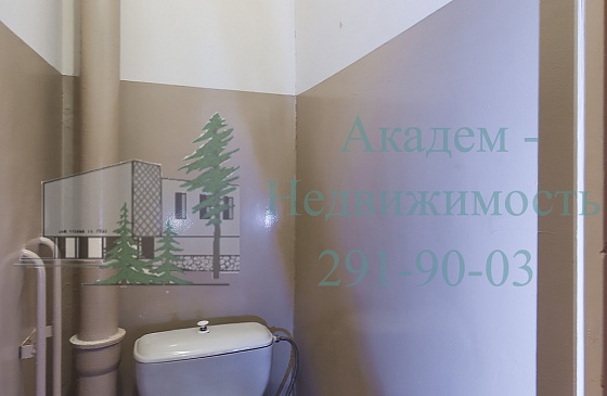 Аренда однокомнатной квартиры в Академгородке Нижняя Ельцовка
