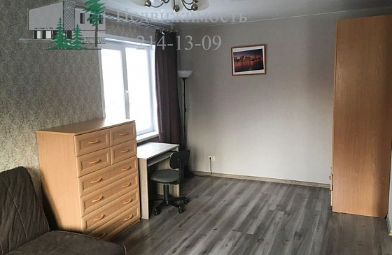 Снять квартиру в Академгородке на улице Терешковой с отличным ремонтом
