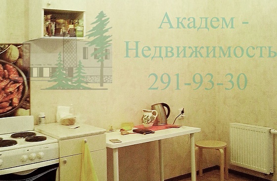 Снять однокомнатную квартиру в Советском районе в новом доме на Шлюзе