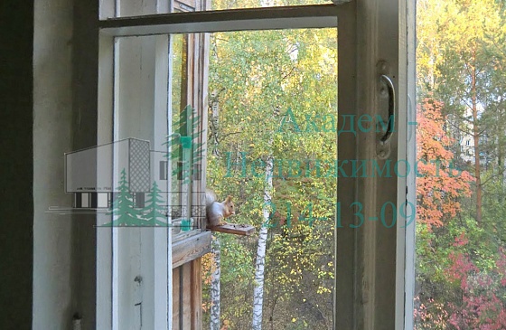 Снять однокомнатную квартиру в Академгородке на Академической 23