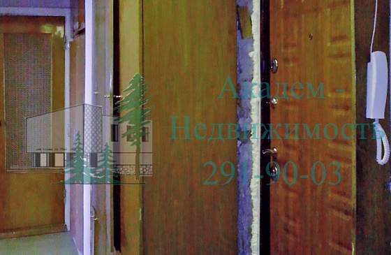 Снять двухкомнатную квартиру в Академгородке на Полевой